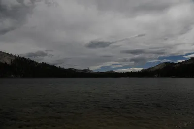 DSC_4417 (Large).JPG